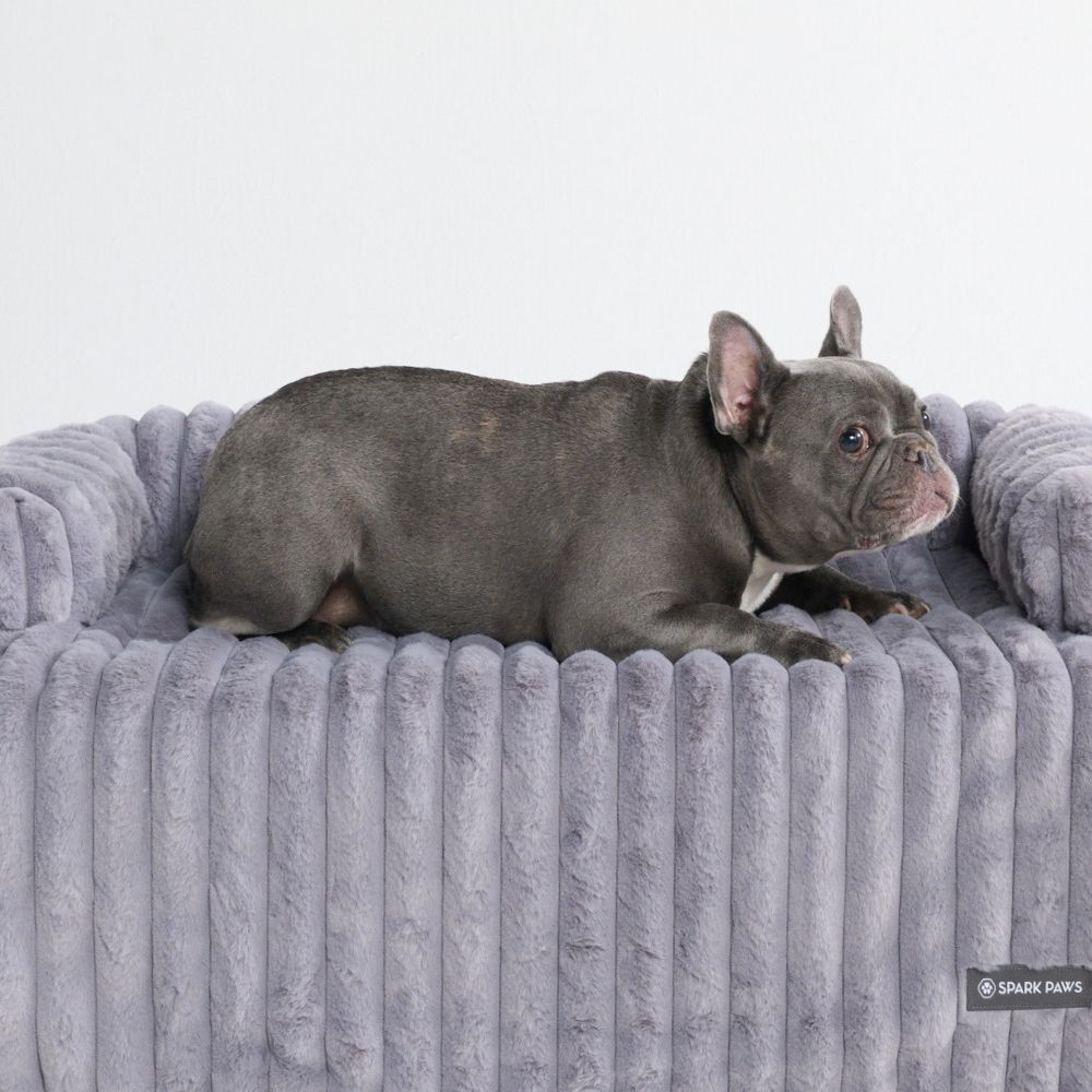 Luxury Couch Cover Dog Beds