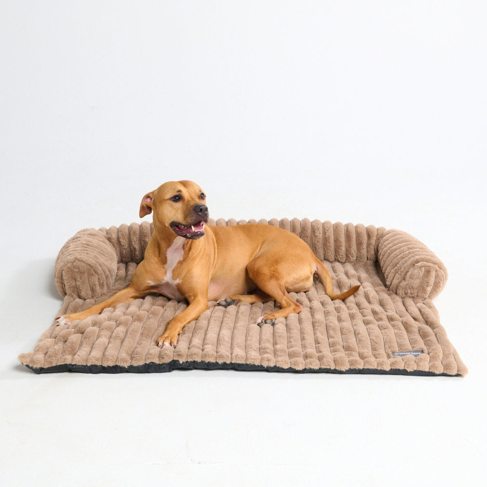Luxury Couch Cover Dog Beds