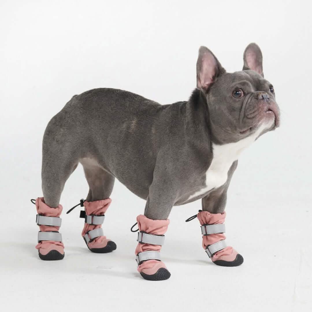 Flex Shell Waterproof Dog Boots