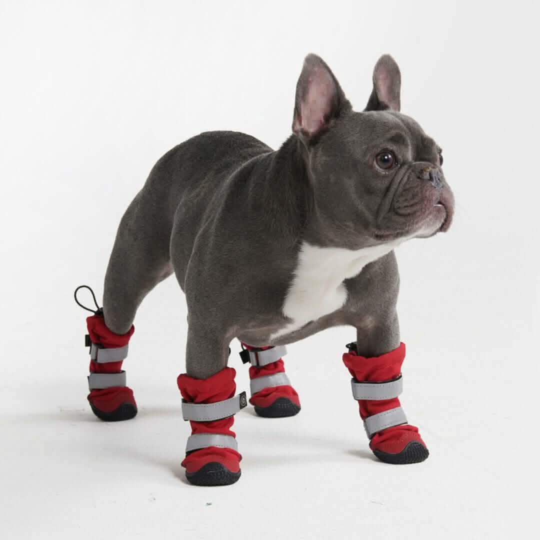 Flex Shell Waterproof Dog Boots