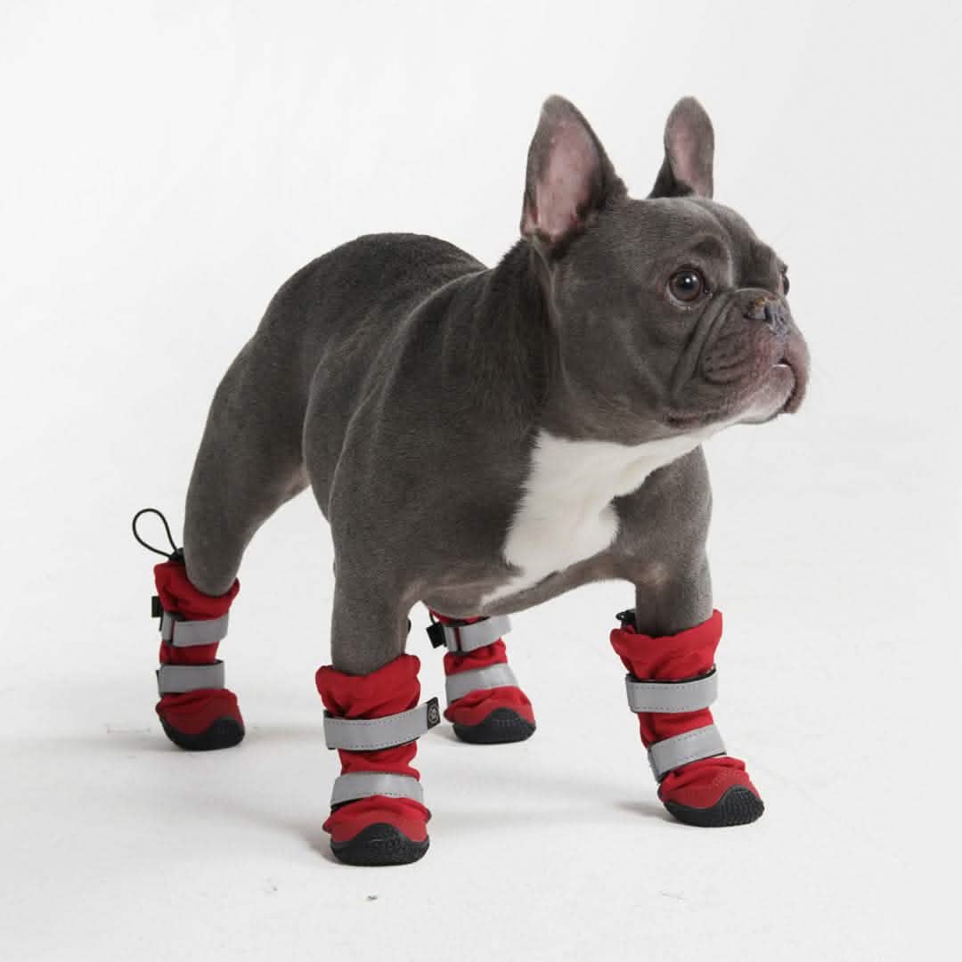 Flex Shell Waterproof Dog Boots