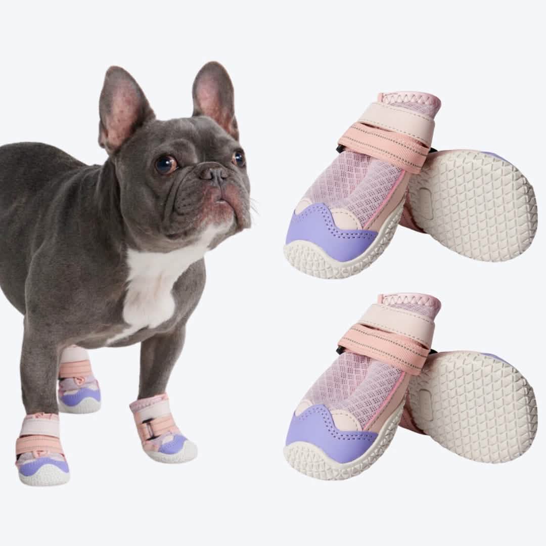 Hot Pavement Pawtector Dog Shoes