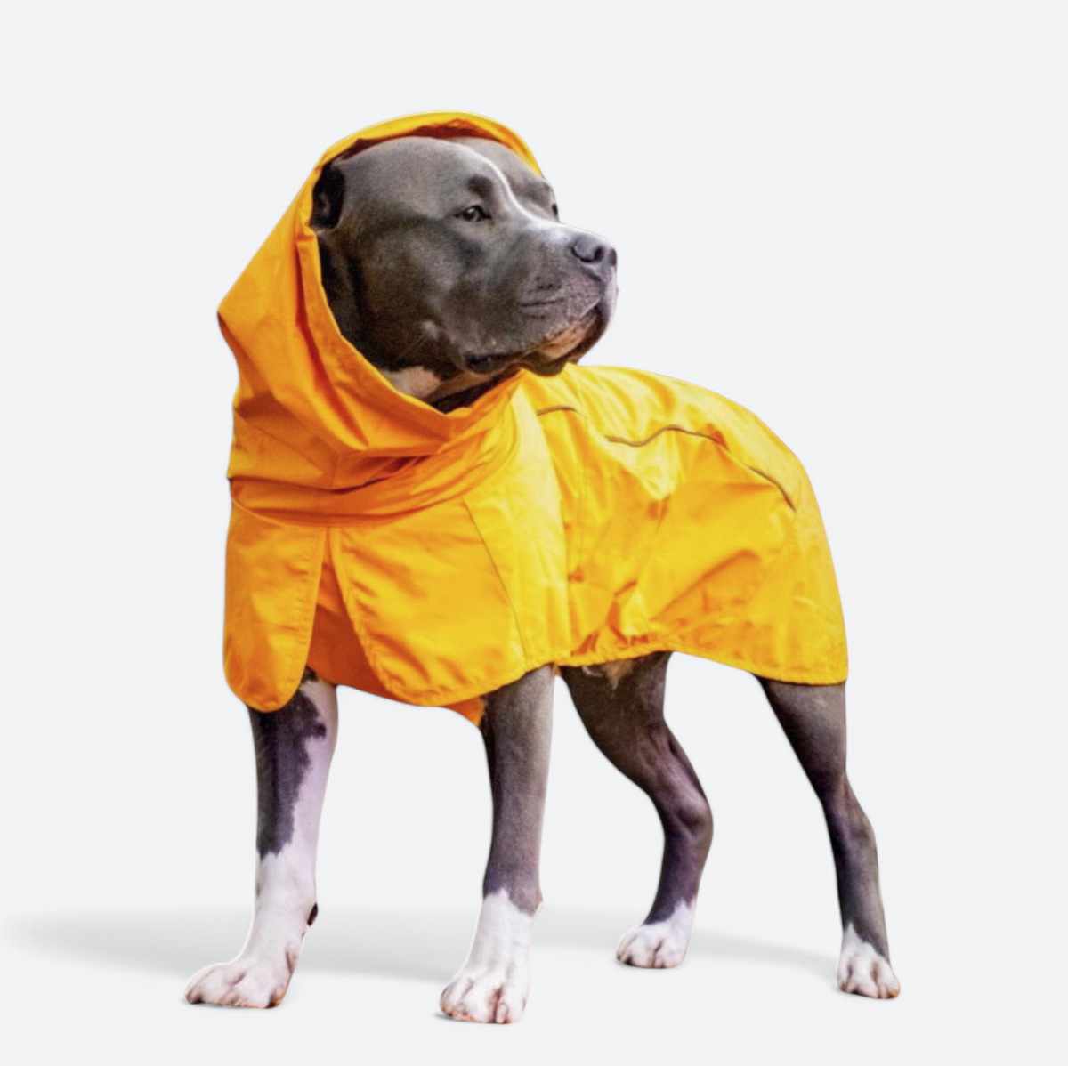 Breatheshield™ Dog Raincoat - Mustard Yellow