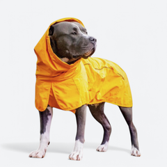 Breatheshield™ Dog Raincoat - Mustard Yellow