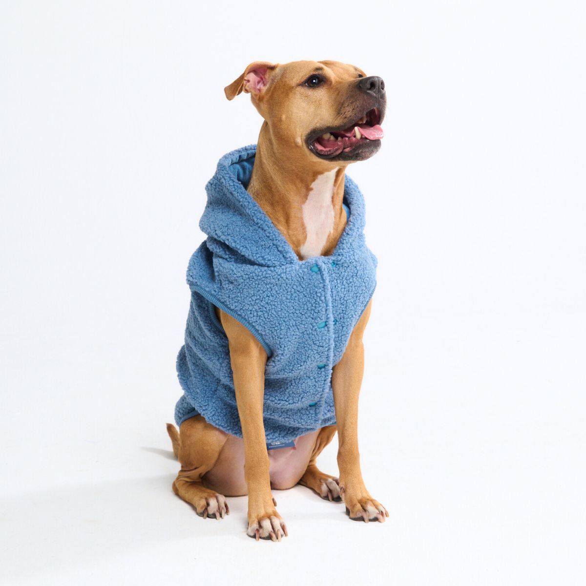 Teddy Sherpa Dog Jacket - Blue