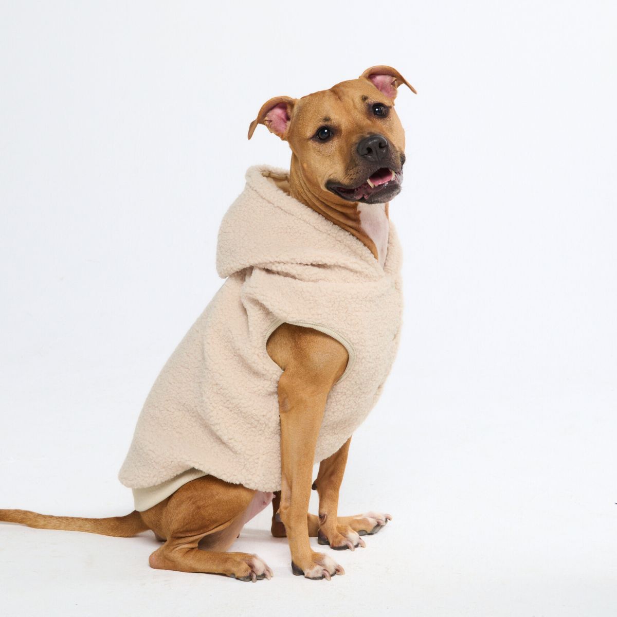 Teddy Sherpa Dog Jacket - Beige