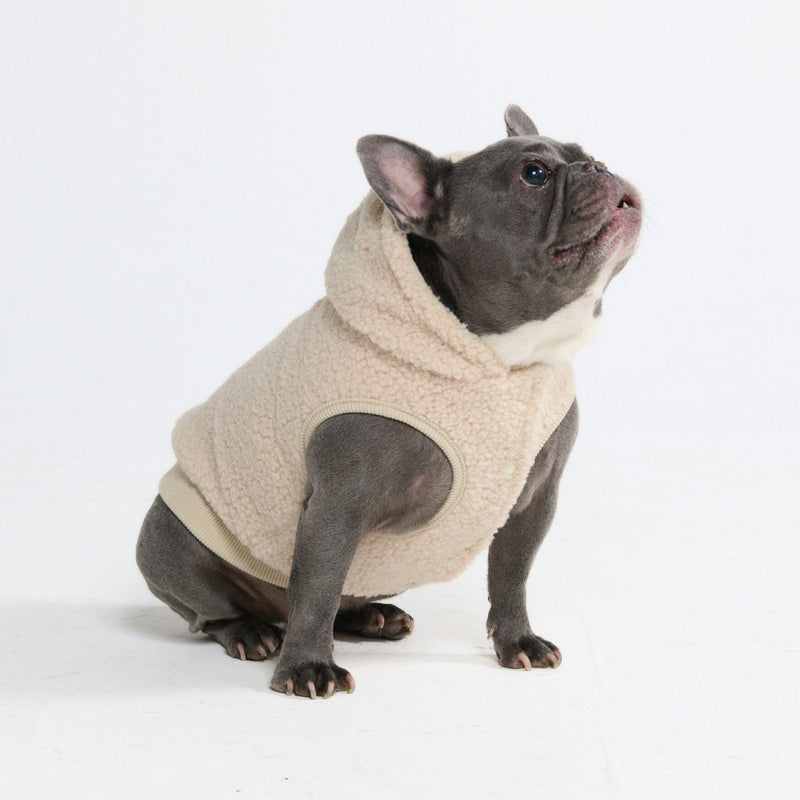 Teddy Sherpa Dog Jackets