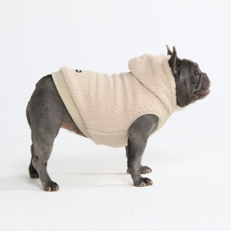 Teddy Sherpa Dog Jackets