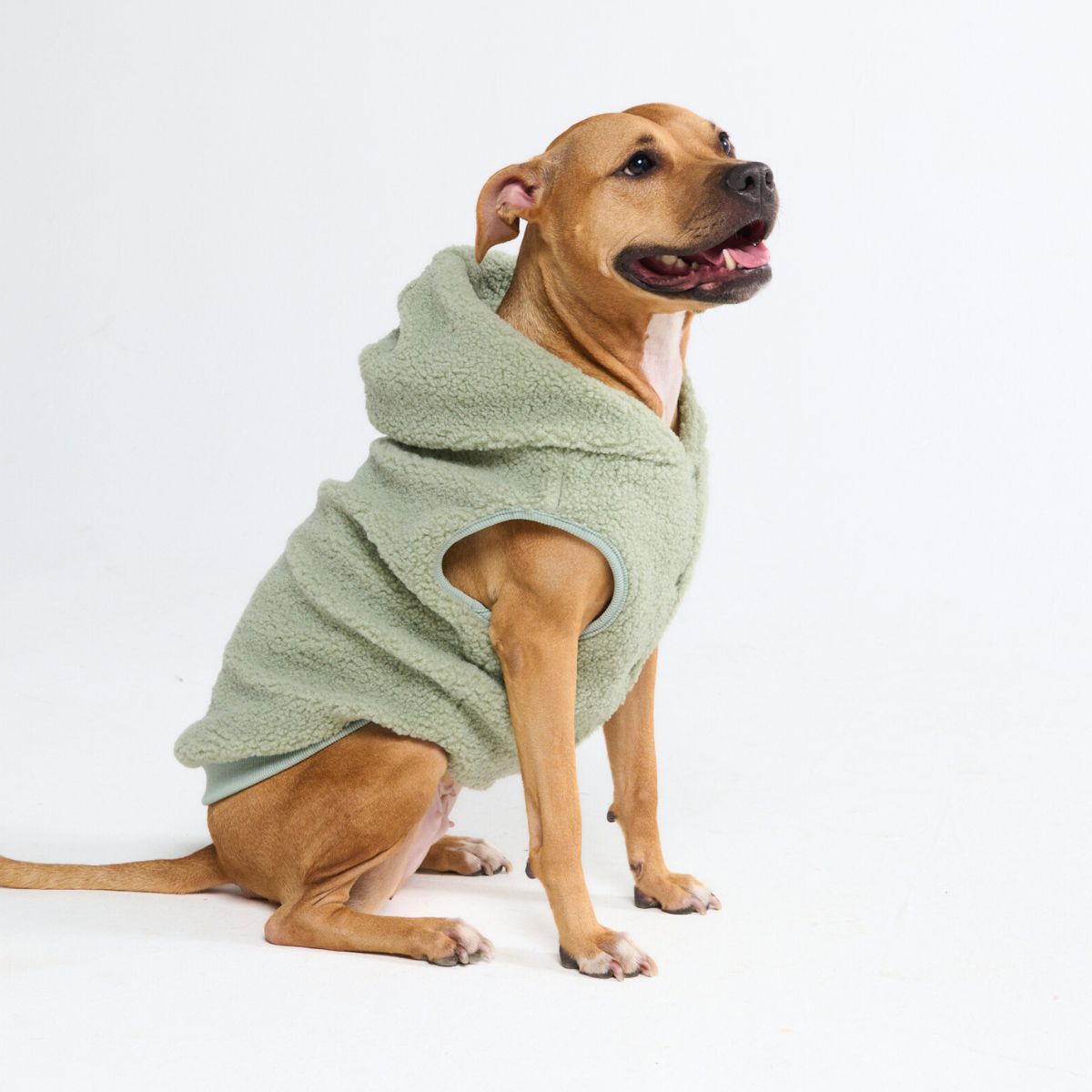 Teddy Sherpa Dog Jacket - Light Green