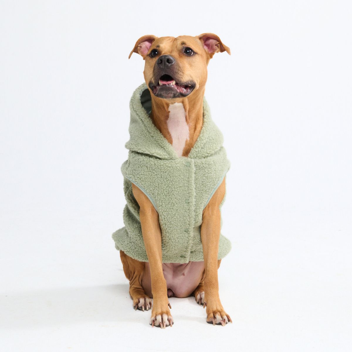 Teddy Sherpa Dog Jacket - Light Green