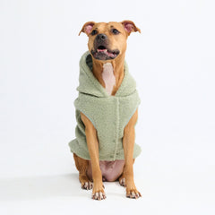 Teddy Sherpa Dog Jacket - Light Green
