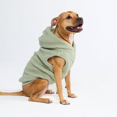 Teddy Sherpa Dog Jacket - Light Green