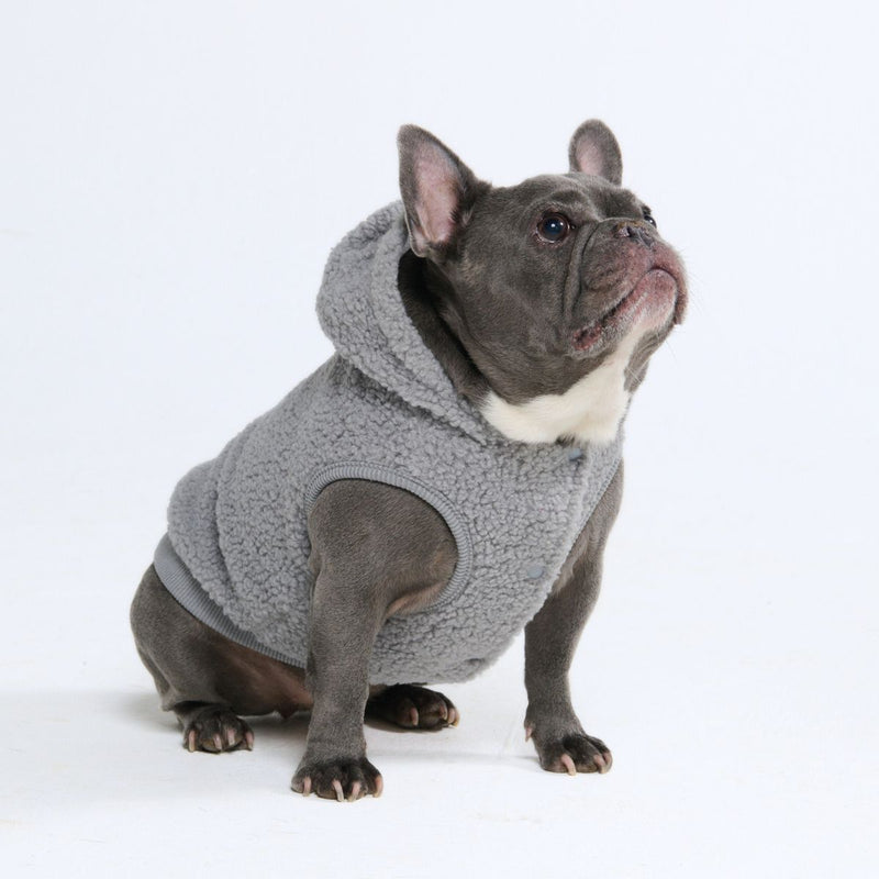 Teddy Sherpa Dog Jackets