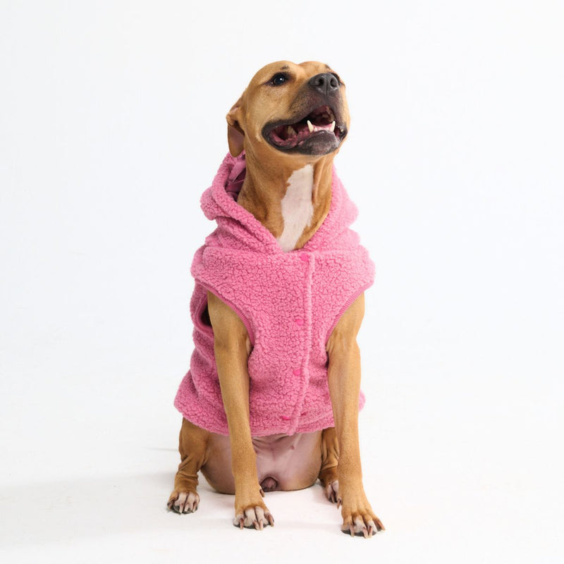 Teddy Sherpa Dog Jackets