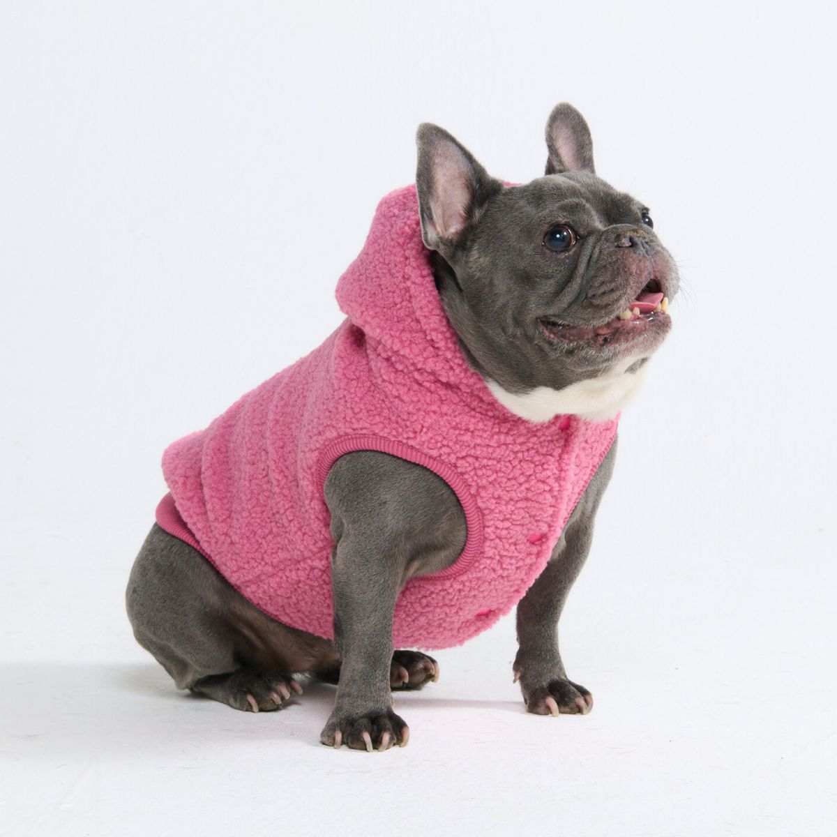 Teddy Sherpa Dog Jacket - Dark Pink