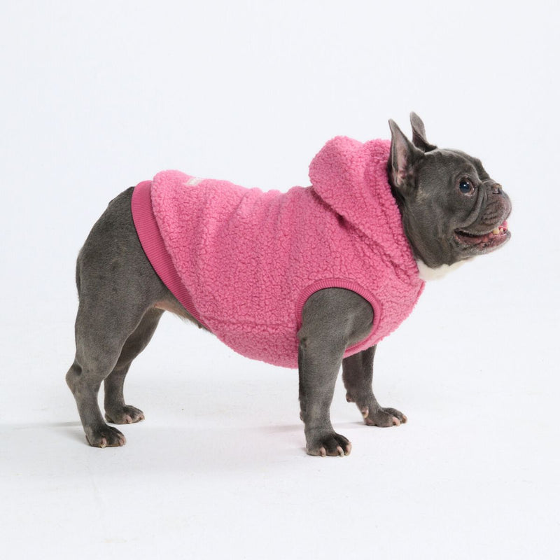 Teddy Sherpa Dog Jackets
