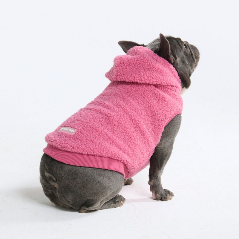 Teddy Sherpa Dog Jackets