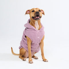Teddy Sherpa Dog Jacket - Taupe