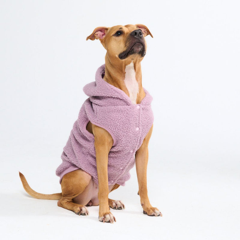 Teddy Sherpa Dog Jackets