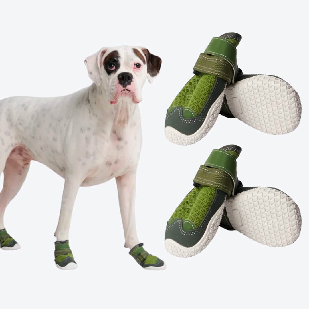 Hot Pavement Pawtector Dog Shoes