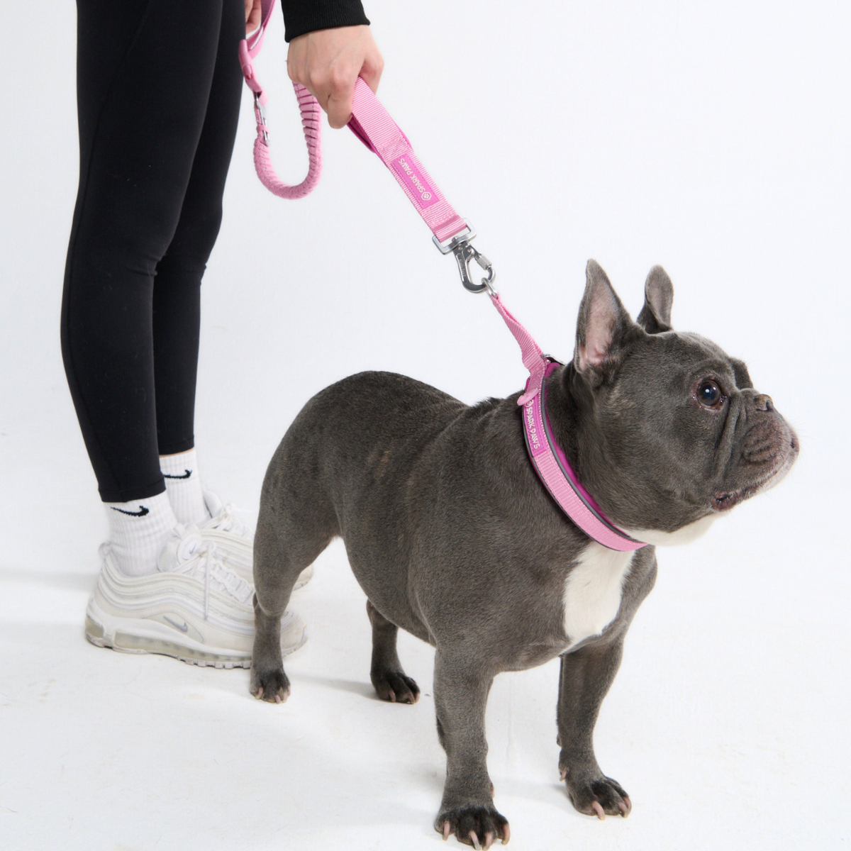 Multipurpose Seatbelt Handsfree Leash & Poop Bag Holder Set - Pink