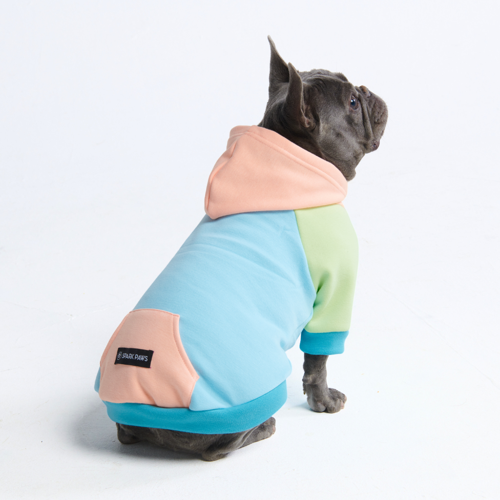 Jelly Bean Dog Hoodie