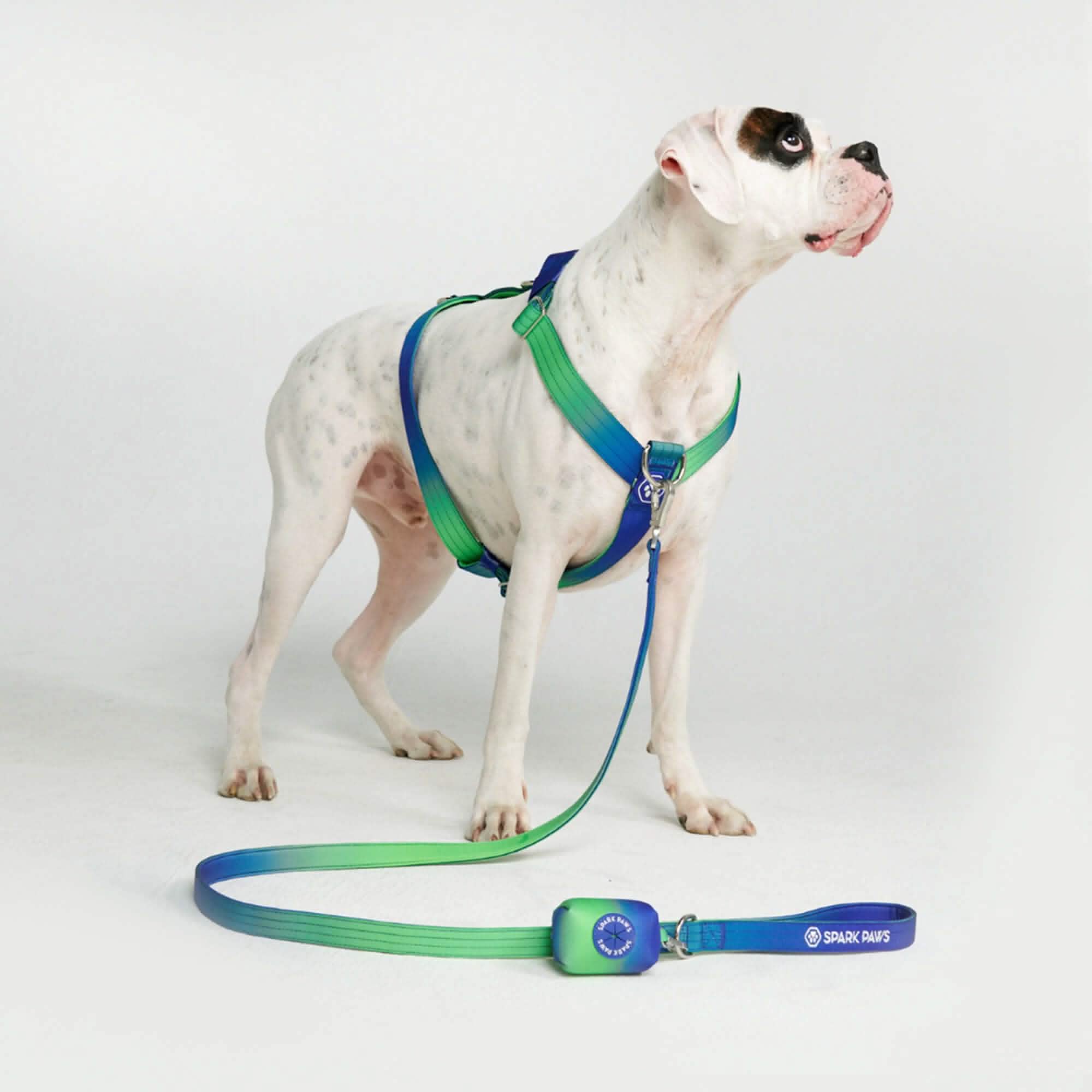 Comfort Control No-Pull Dog Harnesses