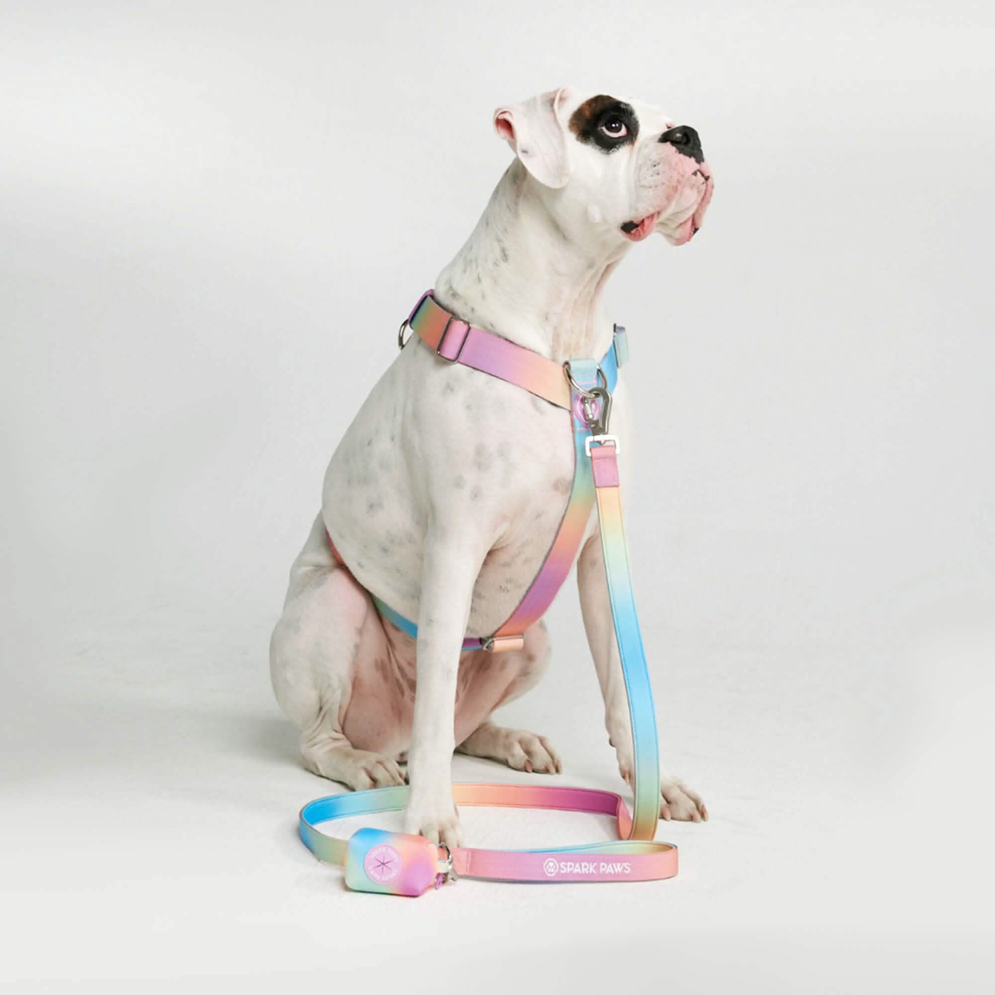Comfort Control No-Pull Dog Harnesses