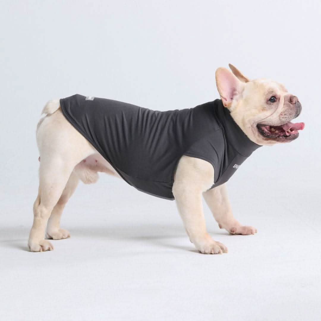 Sunblock Dog T-Shirts