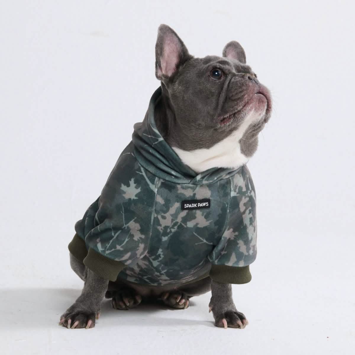 Concrete Wood Dog Hoodies