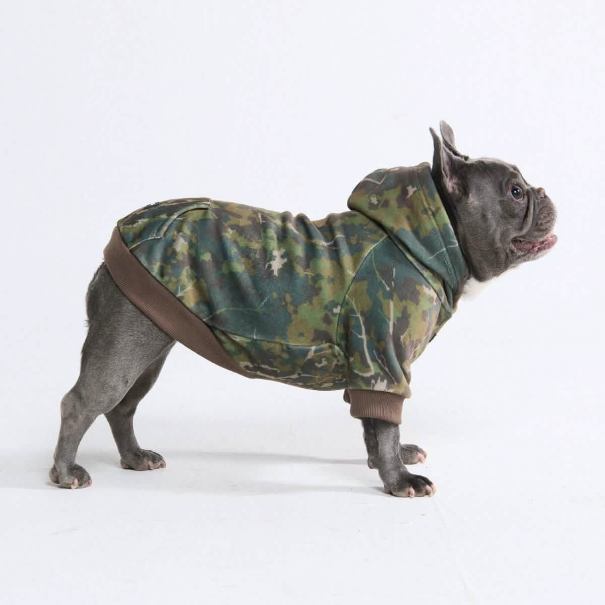 Concrete Wood Dog Hoodies
