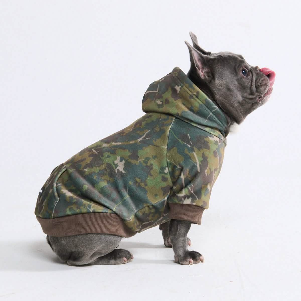 Concrete Wood Dog Hoodie - Moss