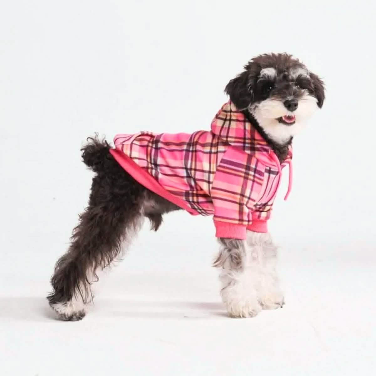 Plaid Dog Hoodies
