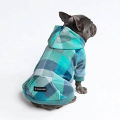 Velvet Dog Hoodie - Turquoise Checkered