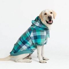 Velvet Dog Hoodie - Turquoise Checkered