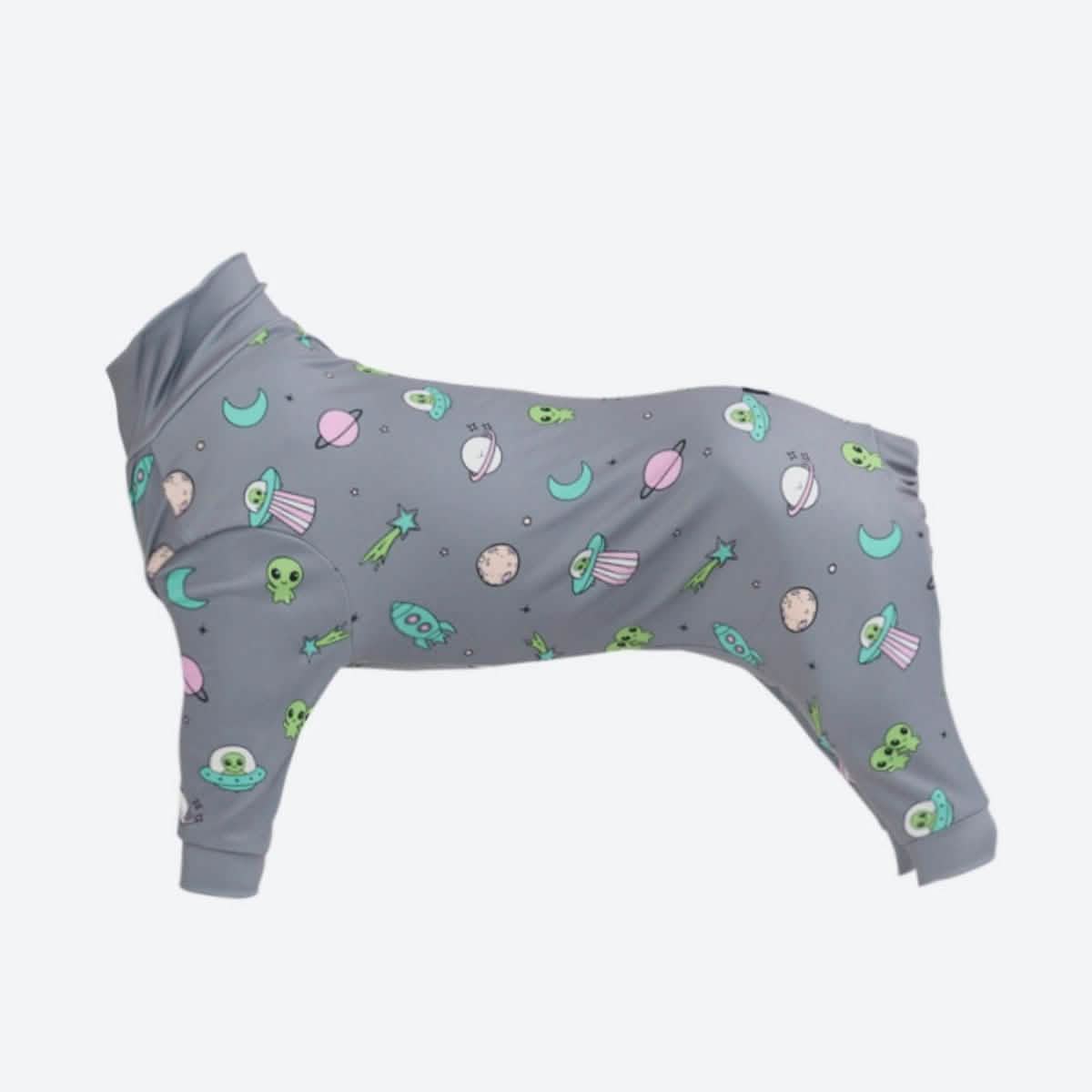 Dog Pajama Prints