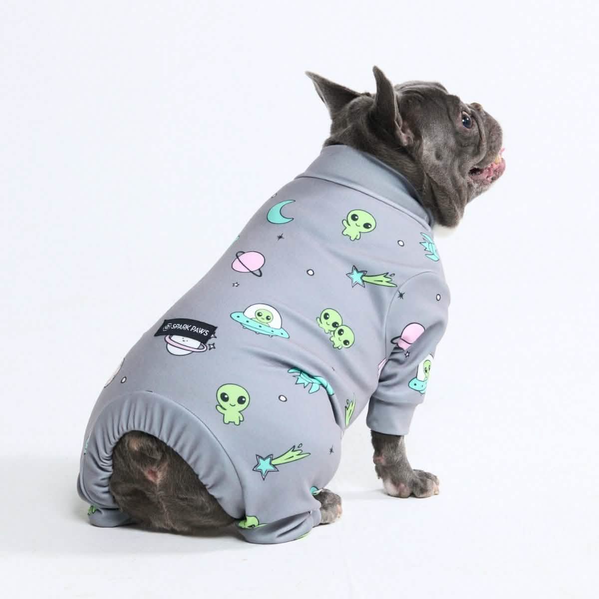Dog Pajama Prints