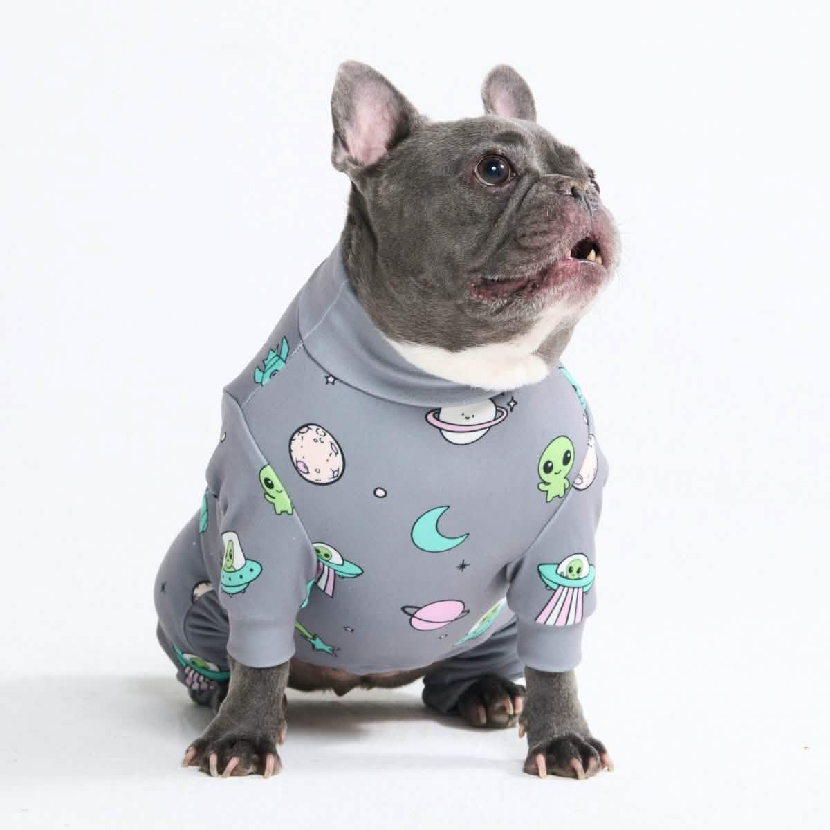 Dog Pajama Prints