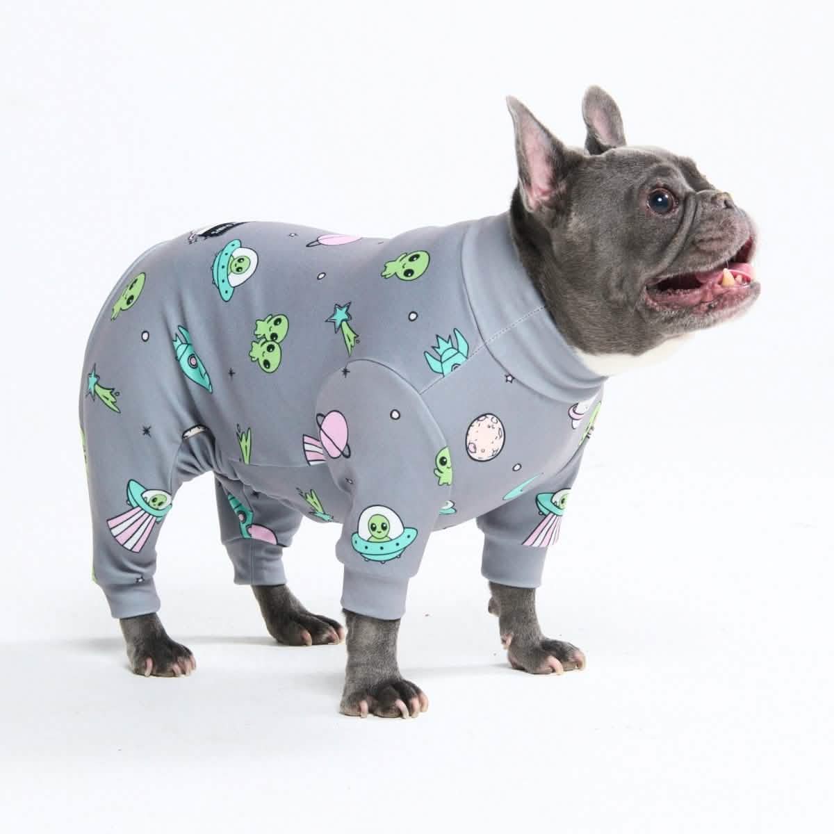 Dog Pajama Prints