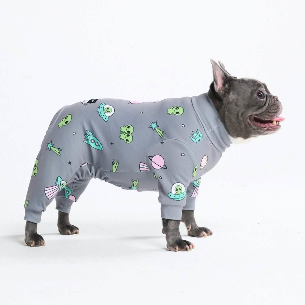 Dog Pajama Prints