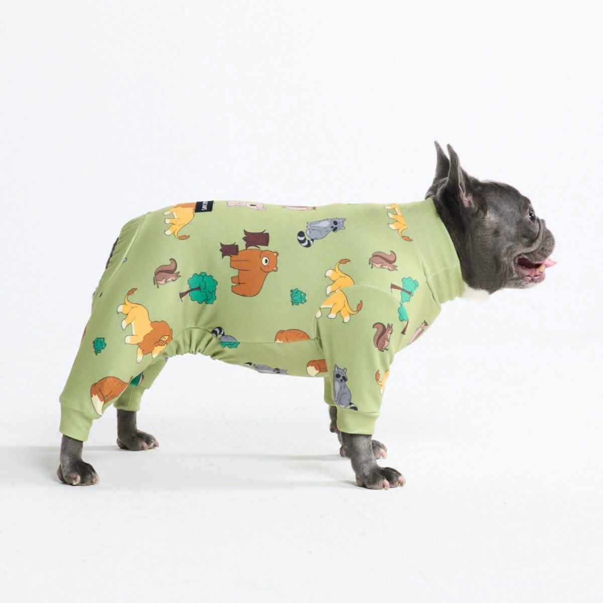 Dog Pajama Prints