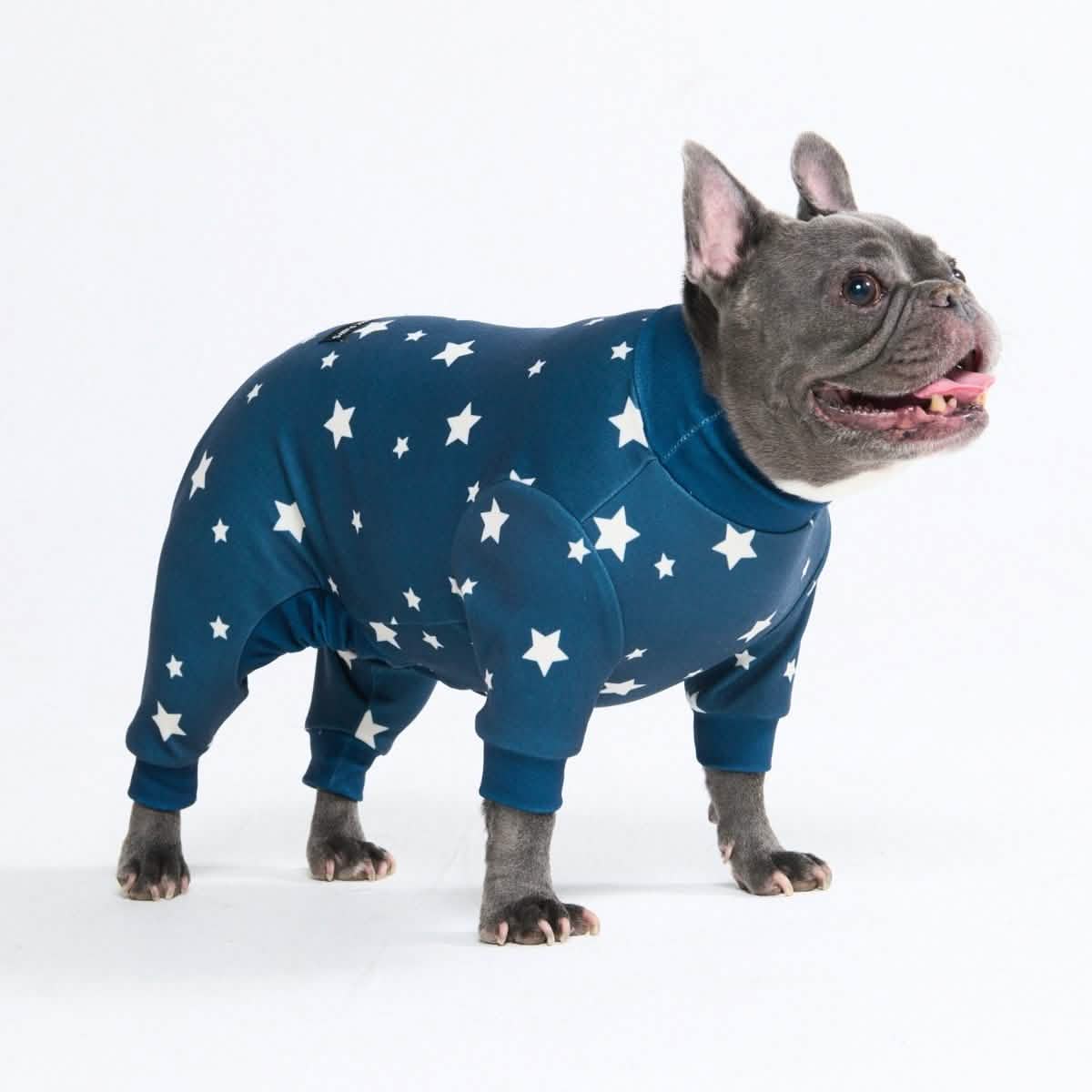 Dog Pajama Prints