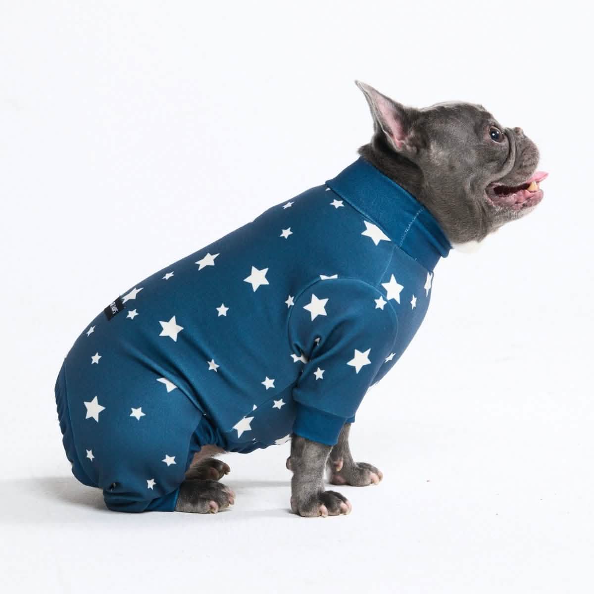 Dog Pajama Prints