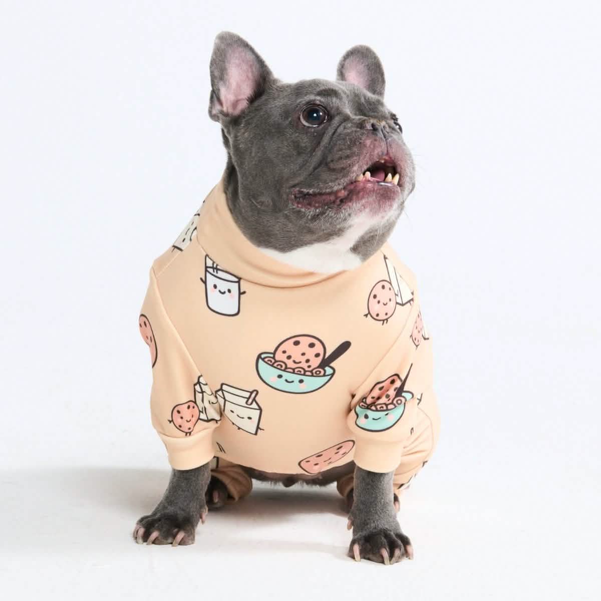 Dog Pajama Prints