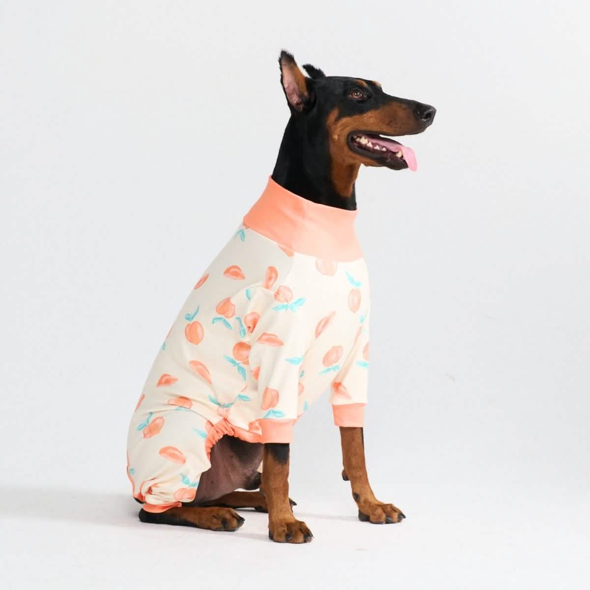 Dog Pajama Prints
