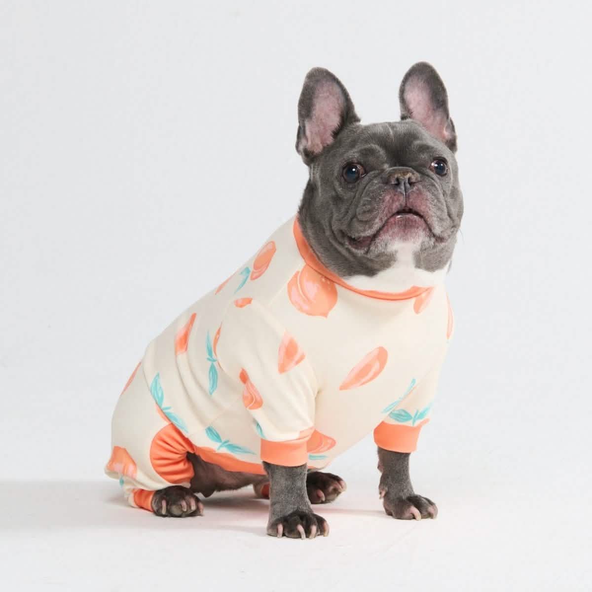 Dog Pajama Prints