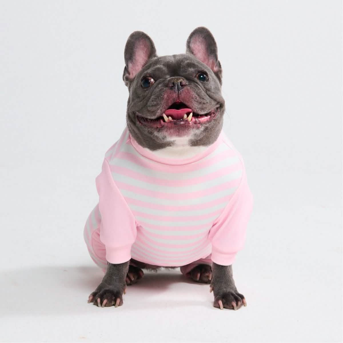 Dog Pajama - Pink Stripes