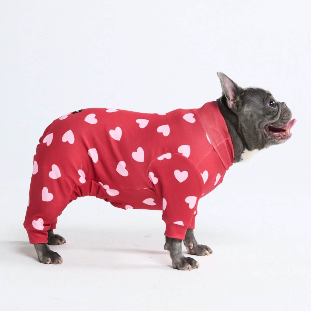 Dog Pajama Prints
