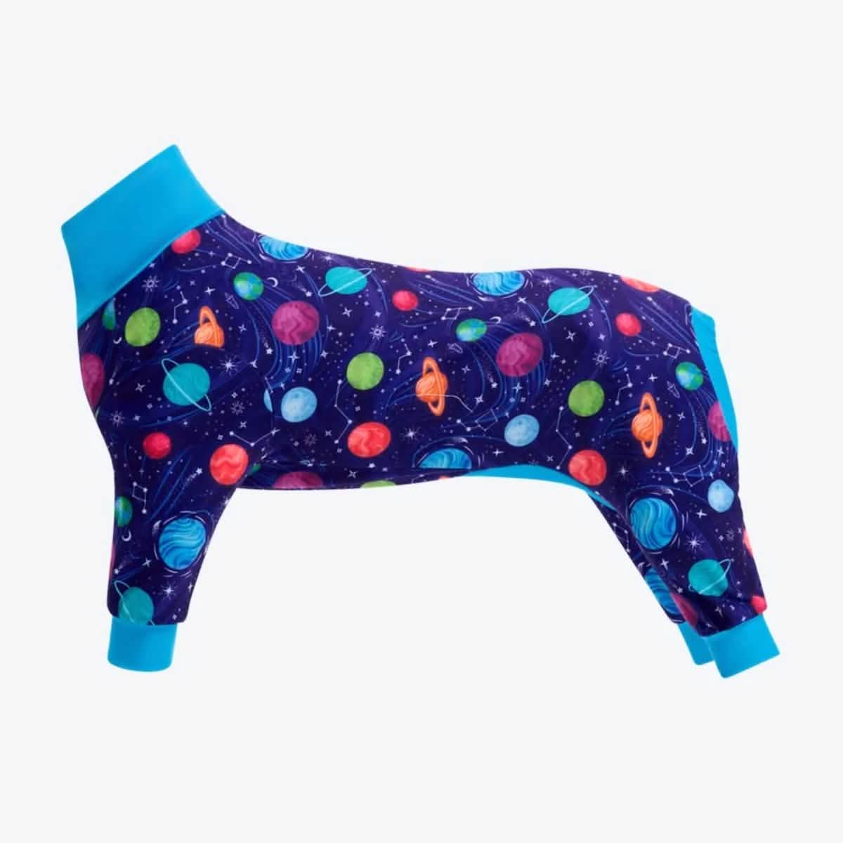 Dog Pajama Prints