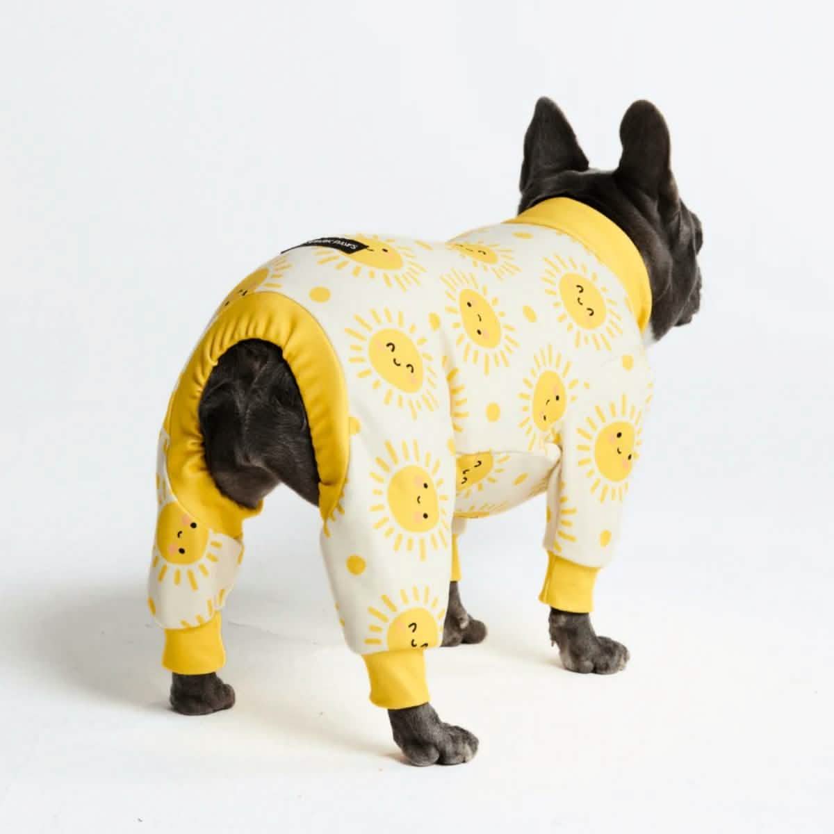Dog Pajama Prints